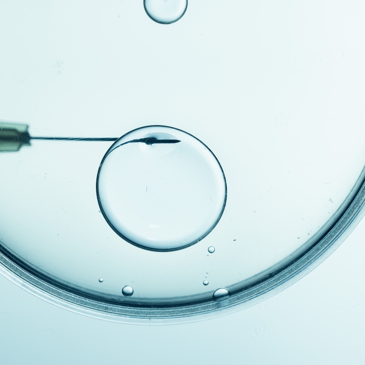 A microscopic view of Kingwood IVF